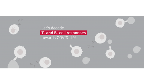 Let's decode T and B cell responses towards COVID-19