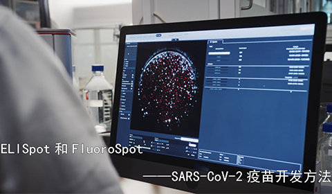 ELISpot和FluoroSpot——SARS-CoV-2疫苗开发方法